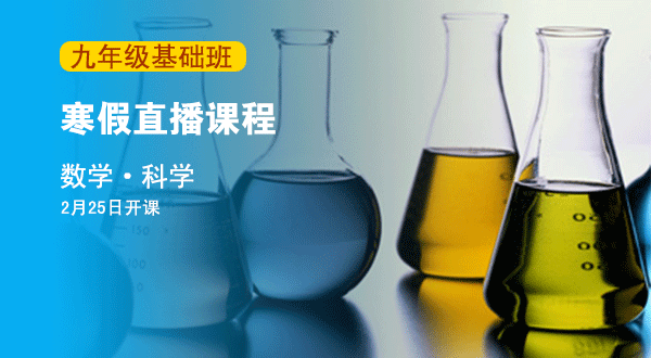 2017年寒假九年级基础班直播课程